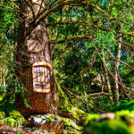 bosque-menairons