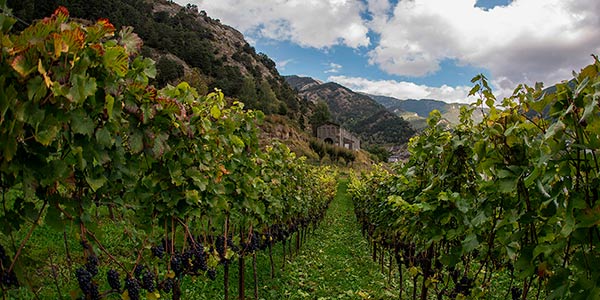 wine-tourism-andorra