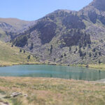 llac-siscaro