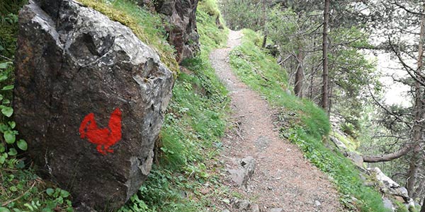 cami-del-gall-andorra